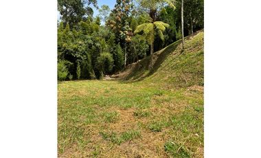 Venta Lote Escocia La Estrella 5140 Mts2 con una casa en el árbol