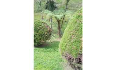 VENDO CASA FINCA EN SAN FELIX