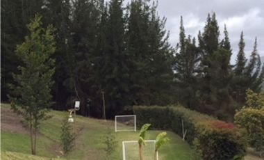 CASA CAMPESTRE 625 M2 ALTOS DE YERBABUENA CHIA | 256 |