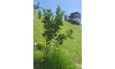 HERMOSA CASA EN MARINILLA