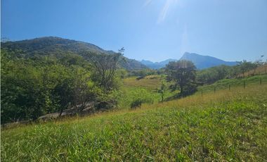 Venta De Lote En Venecia Antioquia - Corregimiento Bolombolo
