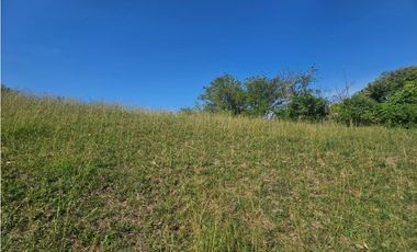 Venta De Lote En Venecia Antioquia - Corregimiento Bolombolo