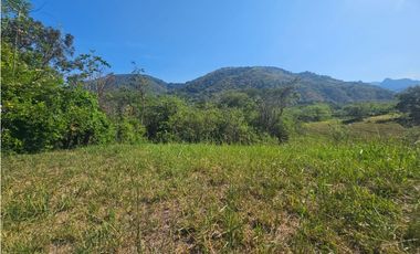 Venta De Lote En Venecia Antioquia - Corregimiento Bolombolo