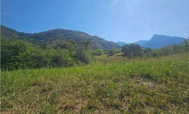 Venta De Lote En Venecia Antioquia - Corregimiento Bolombolo