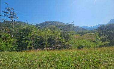Venta De Lote En Venecia Antioquia - Corregimiento Bolombolo