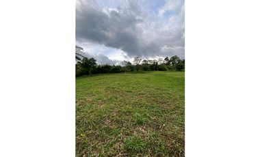 Lote para la venta en Camilo C Amaga