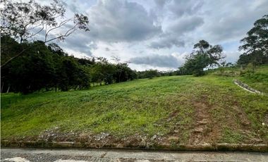 Lote para la venta en Camilo C Amaga