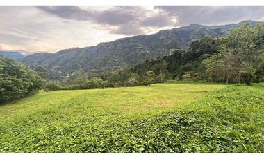 Lote para la venta en Camilo C Amaga
