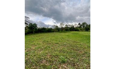 Lote para la venta en Camilo C Amaga