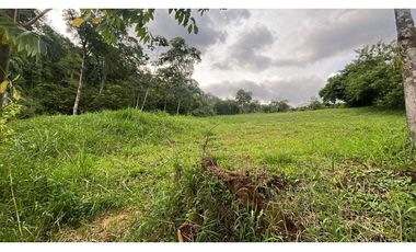 Lote para la venta en Camilo C Amaga