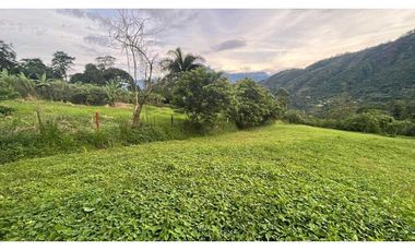 Lote para la venta en Camilo C Amaga
