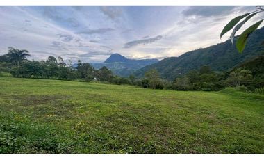 Lote para la venta en Camilo C Amaga