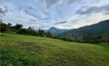 Lote para la venta en Camilo C Amaga