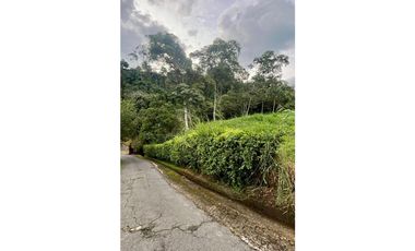 Lote para la venta en Camilo C Amaga