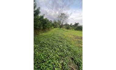 Lote para la venta en Camilo C Amaga