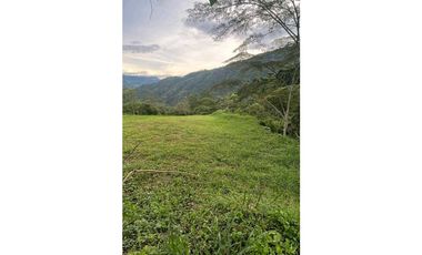 Lote para la venta en Camilo C Amaga