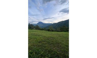 Lote para la venta en Camilo C Amaga