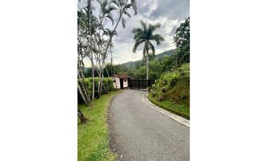 Lote para la venta en Camilo C Amaga