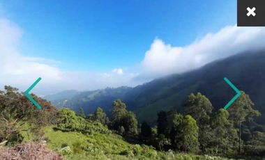 VENDO LOTE LA ESTRELLA VEREDA SAN ISIDRO