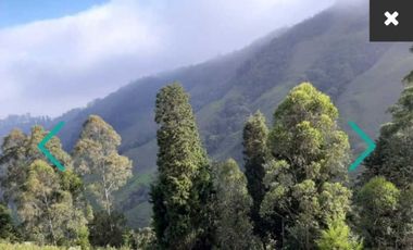 VENDO LOTE LA ESTRELLA VEREDA SAN ISIDRO
