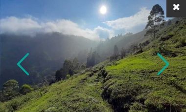 VENDO LOTE LA ESTRELLA VEREDA SAN ISIDRO