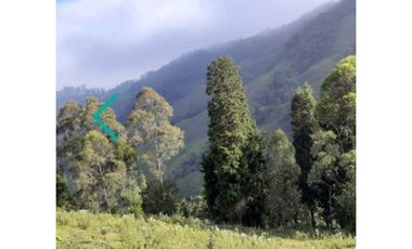 VENDO LOTE LA ESTRELLA VEREDA SAN ISIDRO