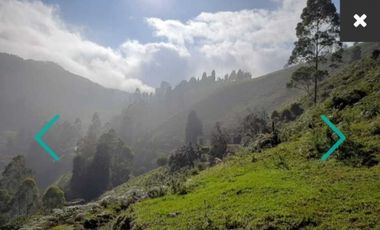 VENDO LOTE LA ESTRELLA VEREDA SAN ISIDRO