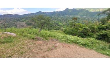 Proyecto De Lotes De 2000 M² En La Mesa Cundi