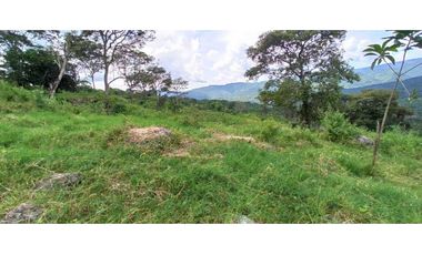 Proyecto De Lotes De 2000 M² En La Mesa Cundi