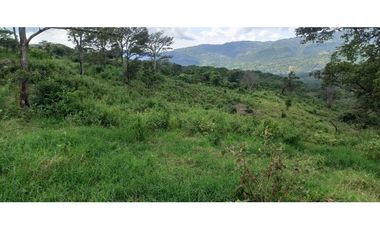 Proyecto De Lotes De 2000 M² En La Mesa Cundi