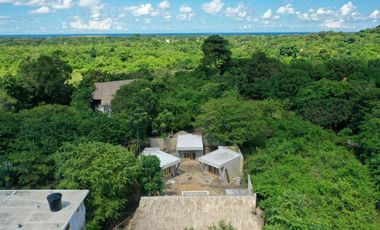 CASA SELVA ROSA PALOMINO
