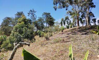 Finca en venta en El Carmen de Viboral