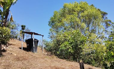 Finca en venta en El Carmen de Viboral