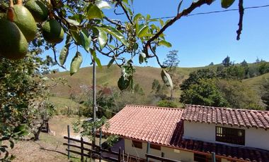 Finca en venta en El Carmen de Viboral