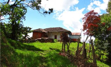 finca en venta Sonsón Antioquia 5 hectáreas espectacular vista.