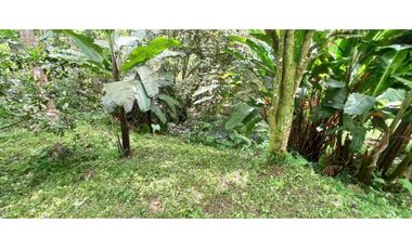 Casa Campestre Con Amplia Zonas Verdes