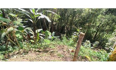 Casa Campestre Con Amplia Zonas Verdes