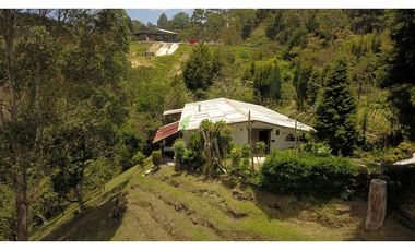 Venta O Renta Finca Independiente Alto De La Virgen Guarne