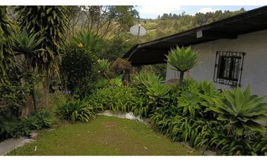 Venta O Renta Finca Independiente Alto De La Virgen Guarne