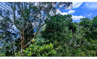 Venta O Renta Finca Independiente Alto De La Virgen Guarne