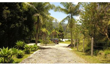 Venta O Renta Finca Independiente Alto De La Virgen Guarne