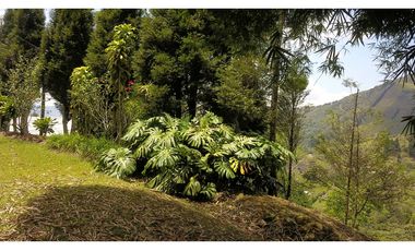 Venta O Renta Finca Independiente Alto De La Virgen Guarne