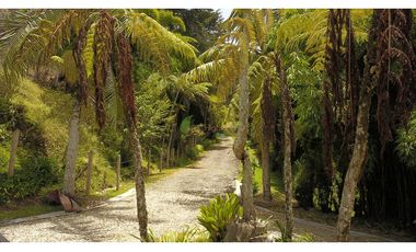 Venta O Renta Finca Independiente Alto De La Virgen Guarne