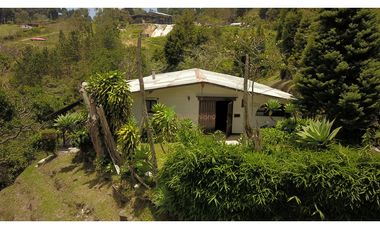 Venta O Renta Finca Independiente Alto De La Virgen Guarne