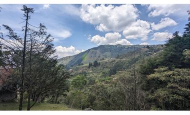 Venta O Renta Finca Independiente Alto De La Virgen Guarne