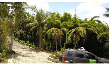 Venta O Renta Finca Independiente Alto De La Virgen Guarne