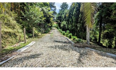 Venta O Renta Finca Independiente Alto De La Virgen Guarne