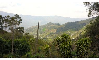 Venta O Renta Finca Independiente Alto De La Virgen Guarne