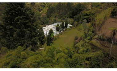 Venta O Renta Finca Independiente Alto De La Virgen Guarne