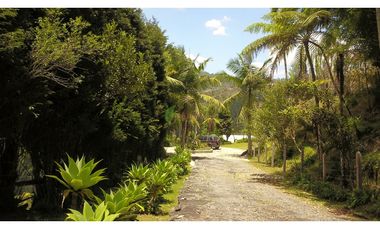Venta O Renta Finca Independiente Alto De La Virgen Guarne